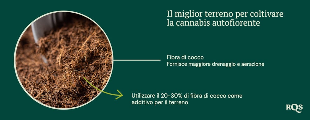 Coco coir for growing autoflowers Coco coir for growing autoflowers